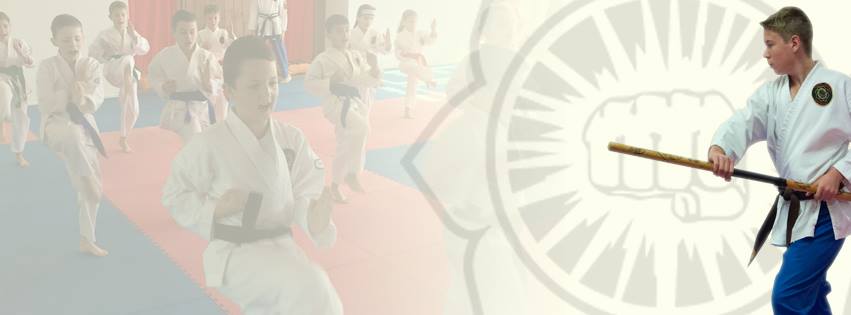 Rensei Karate Australia — Shukokai Karate in Ringwood